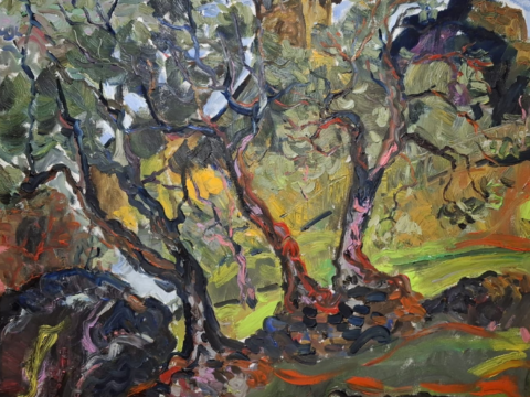 Olive Orchard at Dusk