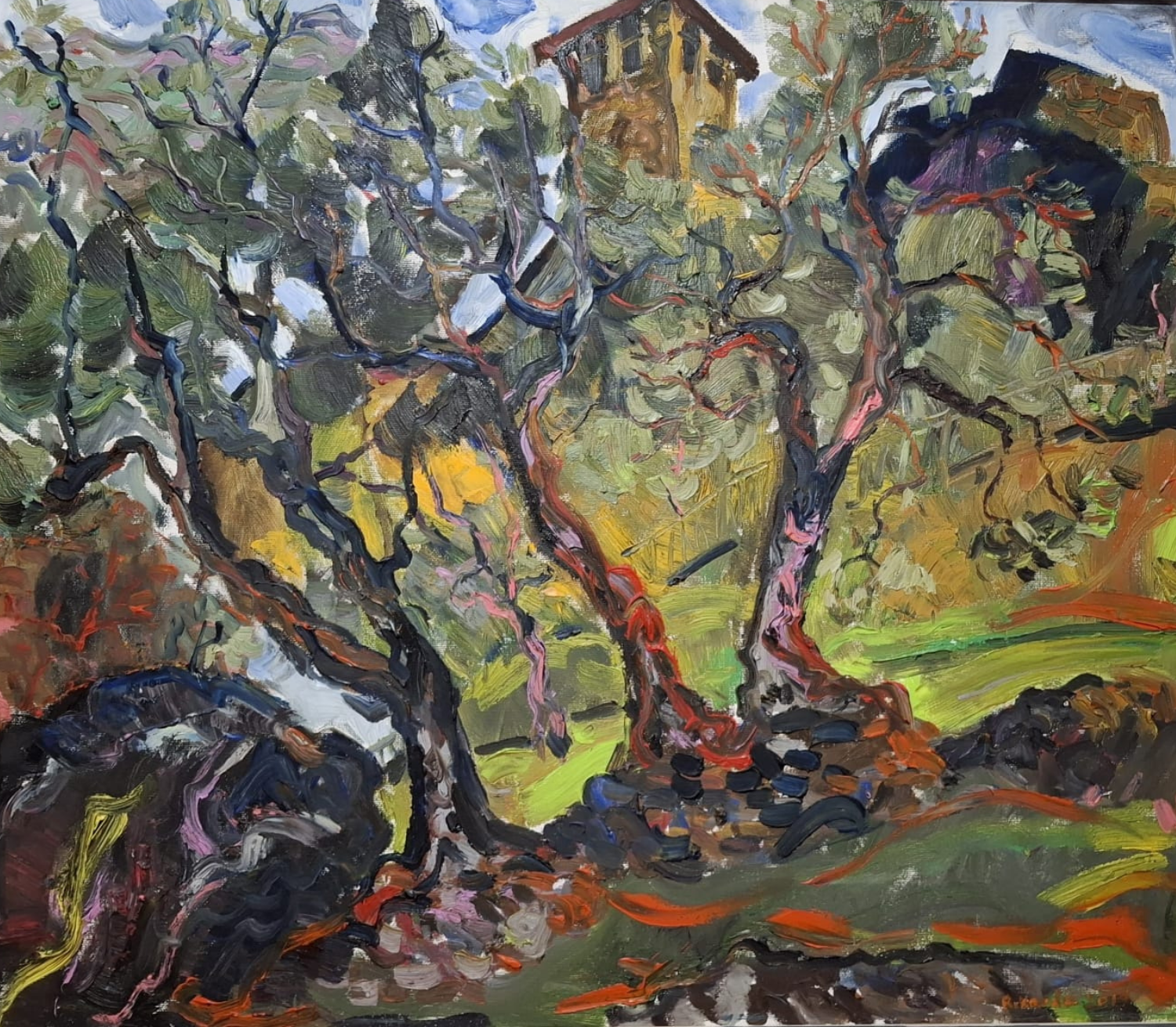 Olive Orchard at Dusk