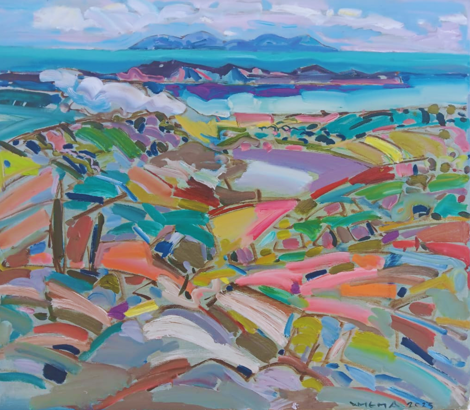 Patchwork Coastline