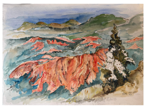 Coastal Fragment