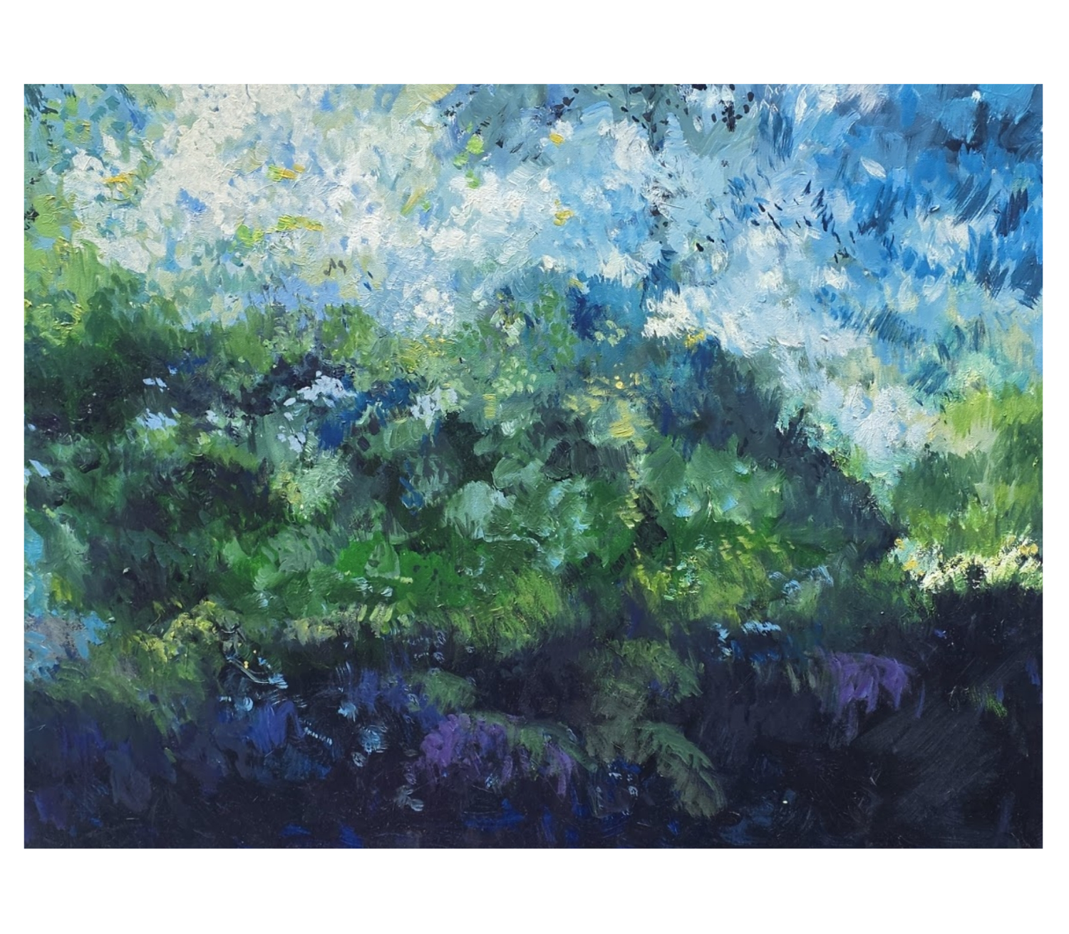 Emerald Vista