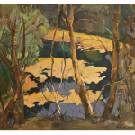 Forest Light Reflection