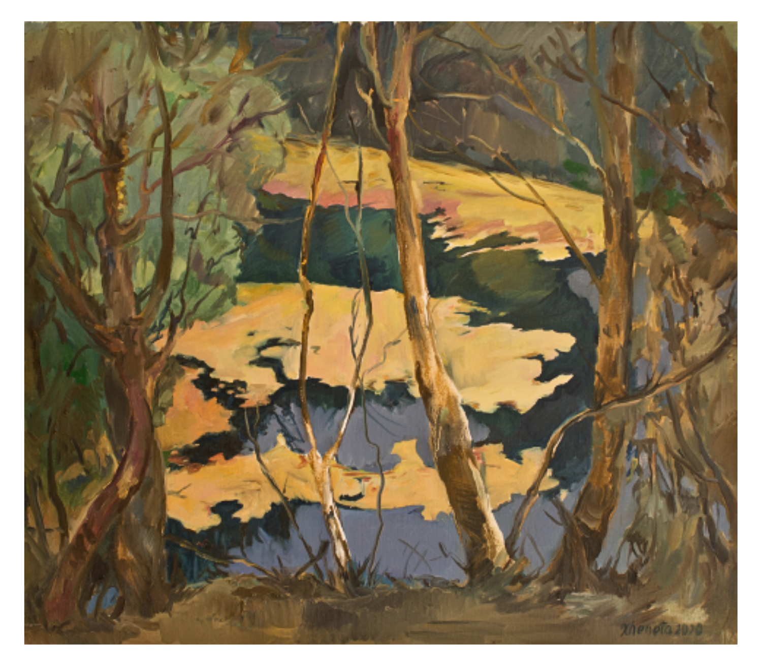 Forest Light Reflection