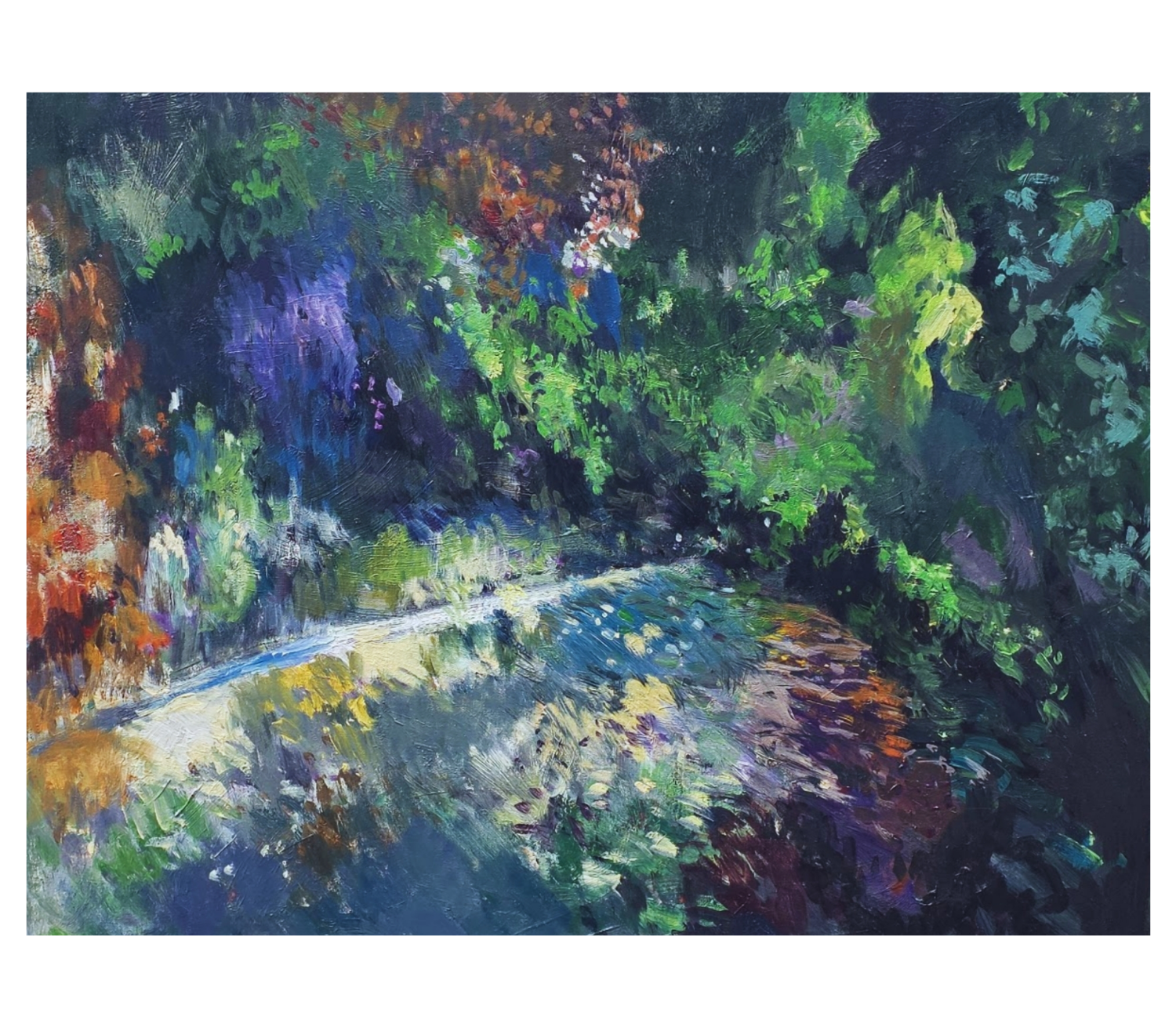 Forest Path
