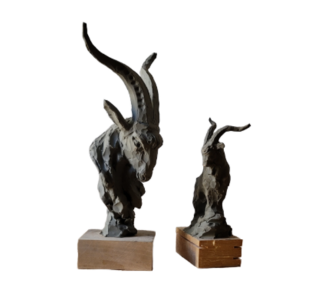 Goat Head