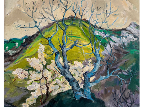 Mountain Hill in Spring