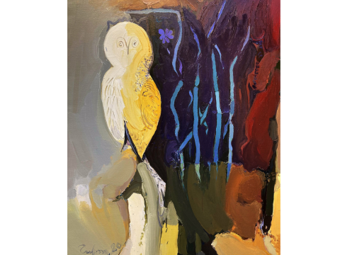 Night Owl