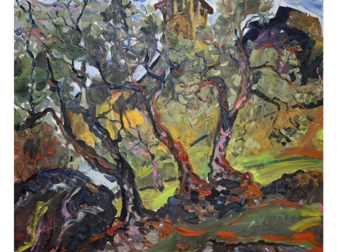 Olive Orchard at Dusk