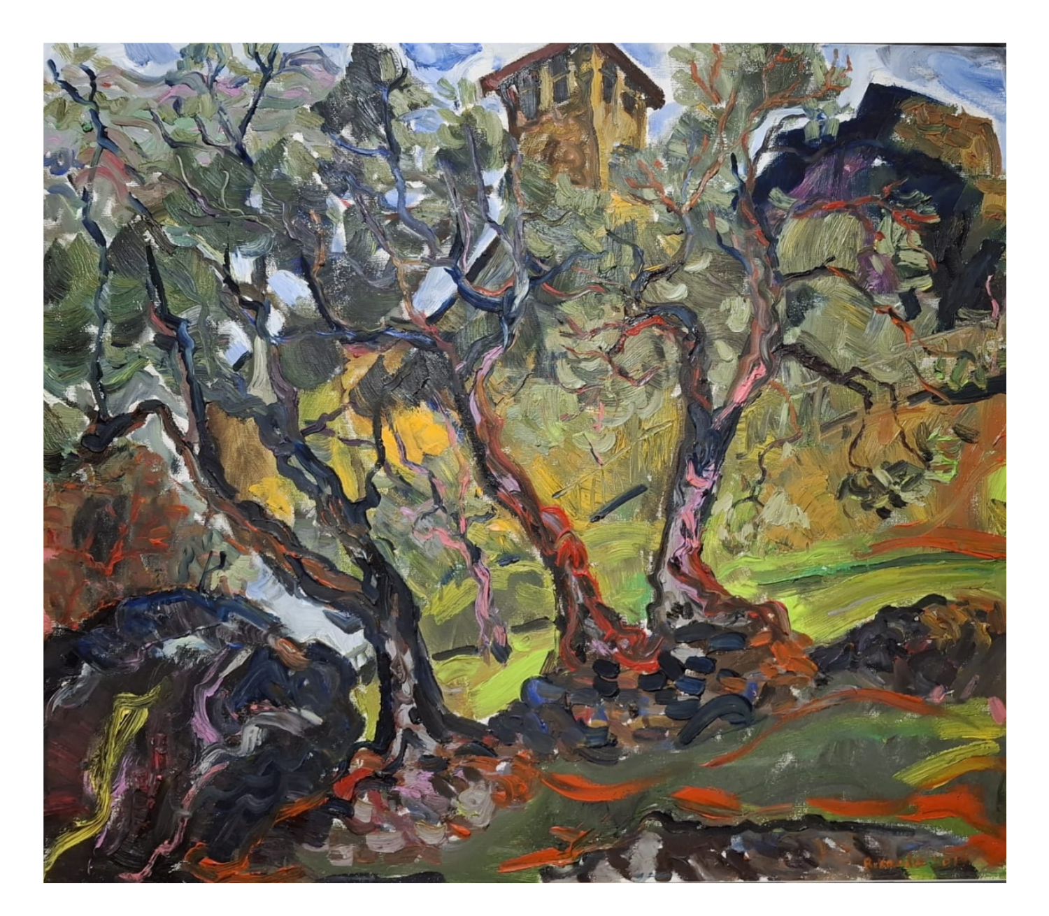 Olive Orchard at Dusk