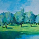 Olive Trees Panaja