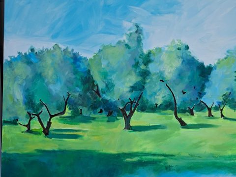 Olive Trees Panaja