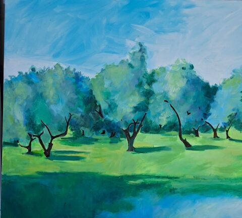 Olive Trees Panaja