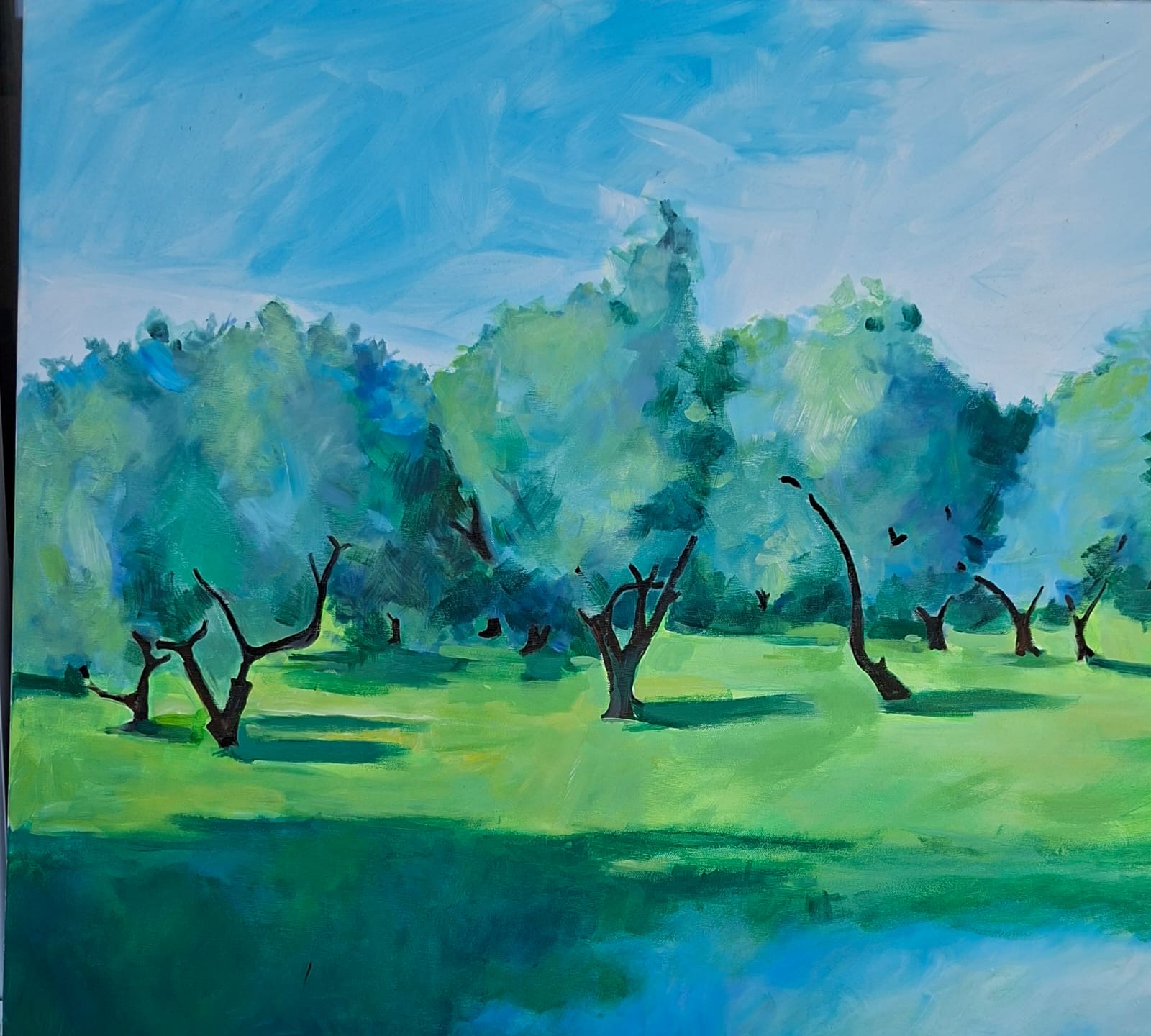 Olive Trees Panaja