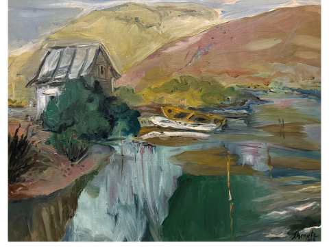Riverside Cabin and Boats