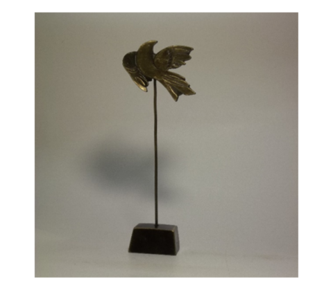 Small Dove 1