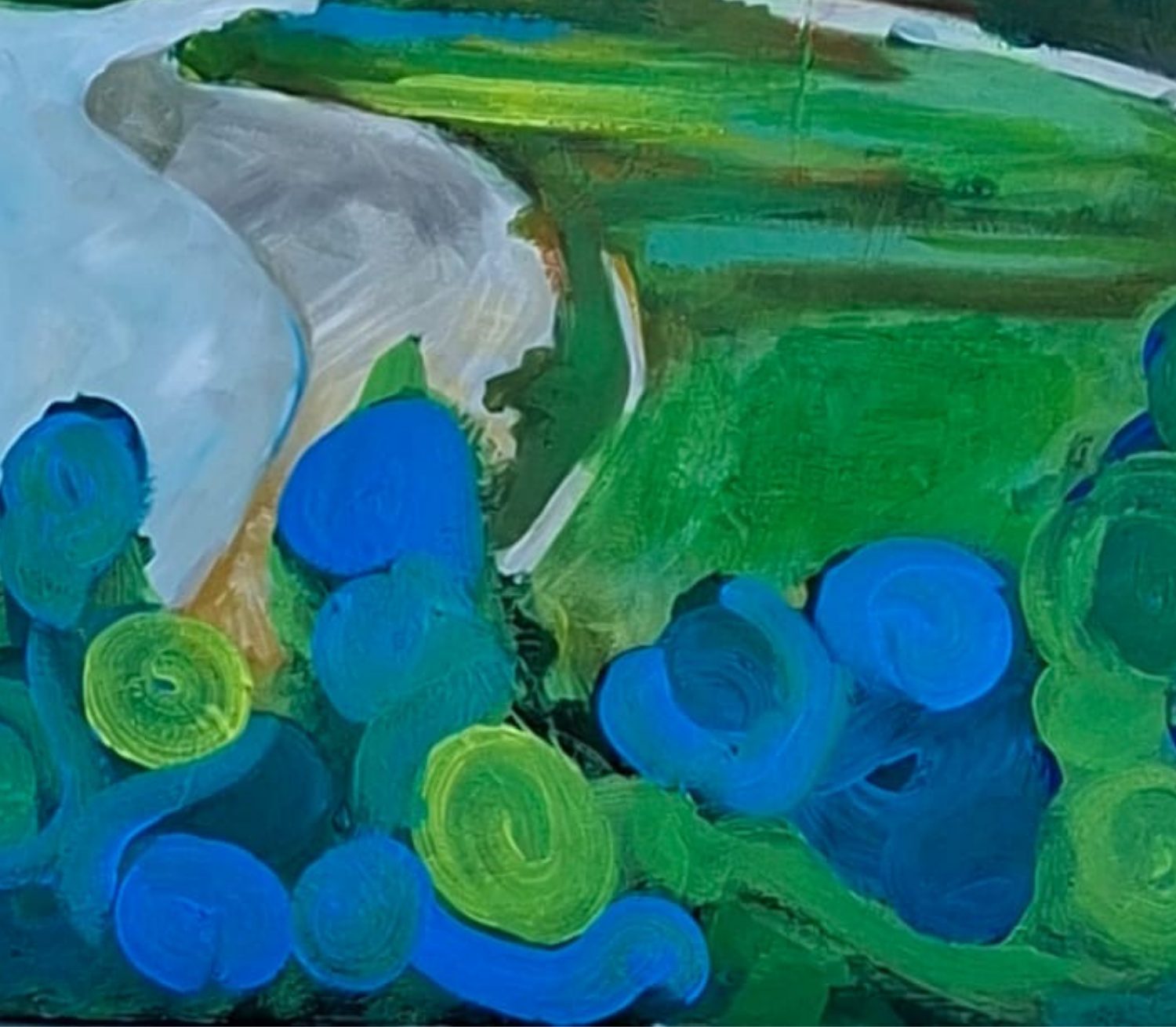 Echoes of the Vjosa Valley
