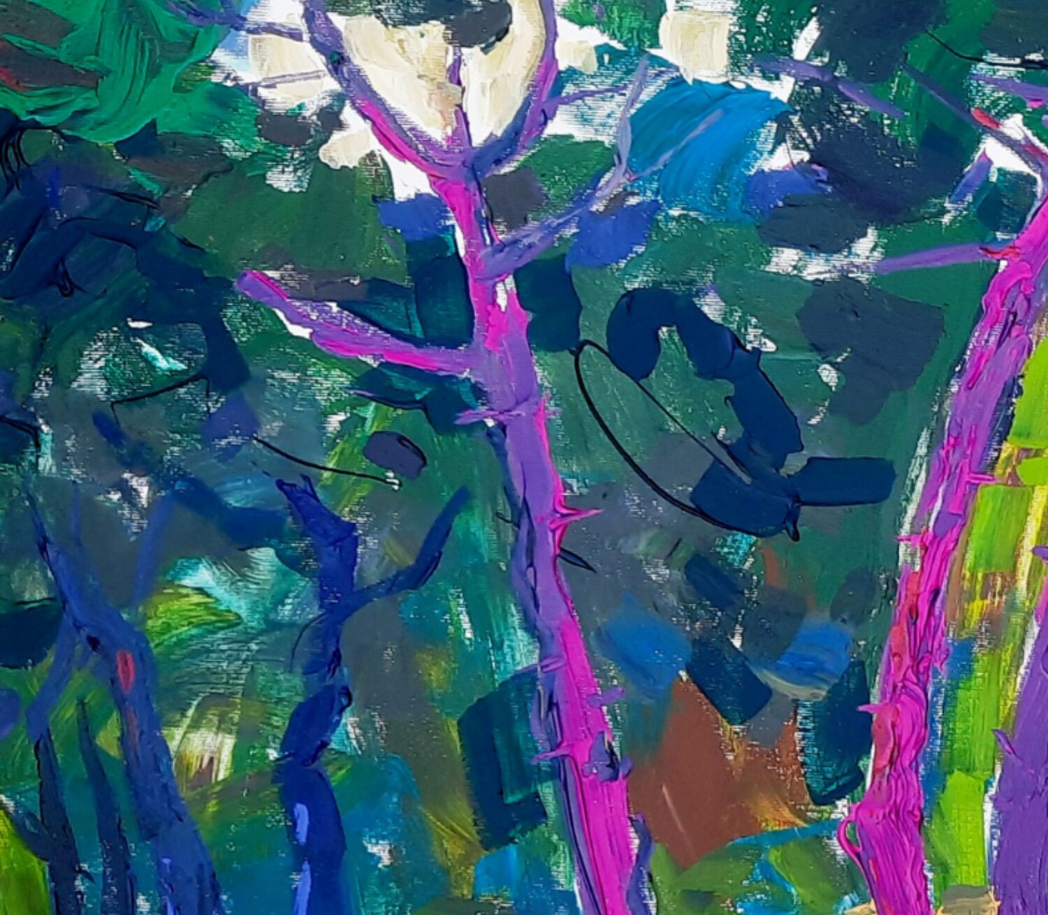 Lagoon Pines