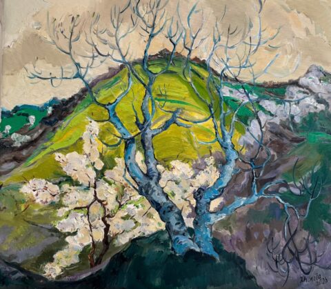 Mountain Hill in Spring