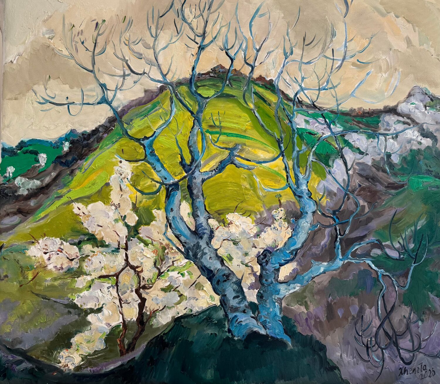 Mountain Hill in Spring