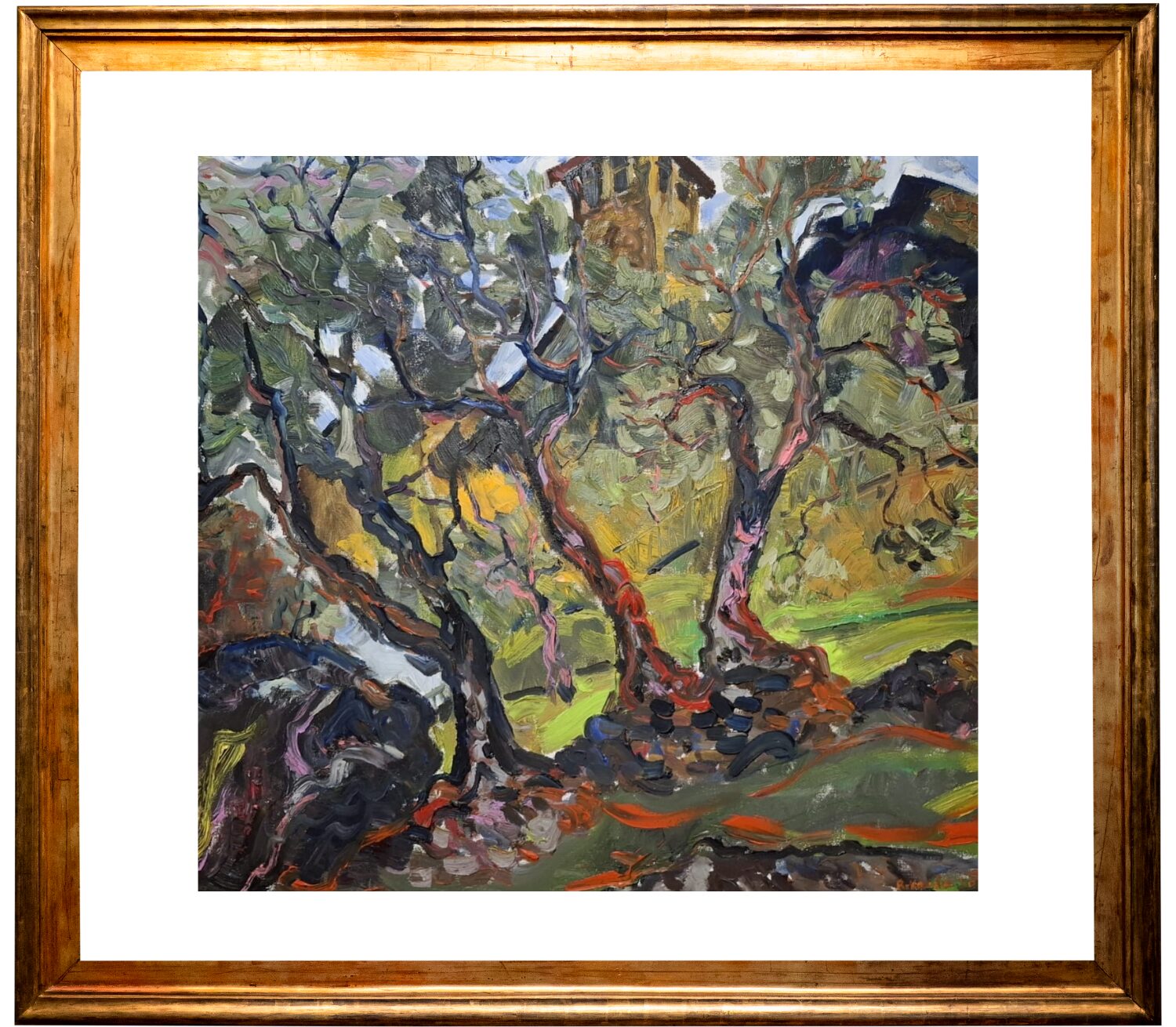 Olive Orchard at Dusk