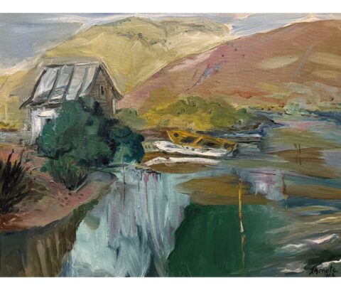 Riverside Cabin and Boats